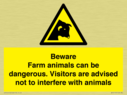 beware-farm-animals-can-be-dangerous-visitors-are-advised-not-to-interfere-with-~